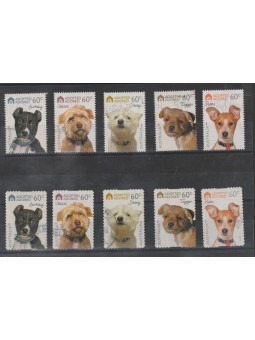 2010 AUSTRALIA FAUNA CANI...