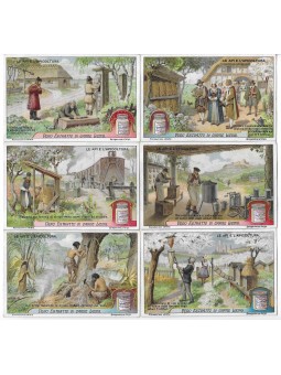 S 1135 / LIEBIG / LE API E...