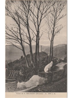 CARTOLINA LOMBARDIA COMO...