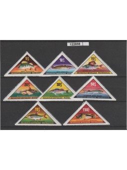 1963 MONGOLIA FAUNA PESCI...