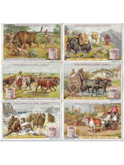 S 0503 / LIEBIG / RAZZE...