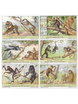 S 1603 / LIEBIG / LE...