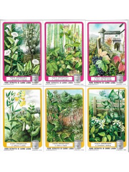 S 1624 A / LIEBIG / PIANTE...