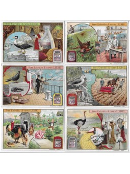 S 0799 / LIEBIG / UCCELLI...