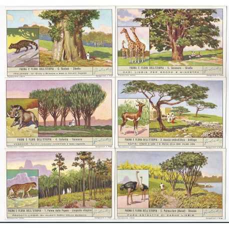 S 1414 LIEBIG FAUNA E FLORA DELL'ETIOPIA (ITA) MF40113