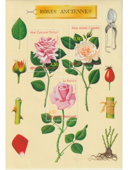 1999 FRANCIA FLORA ROSE 1...