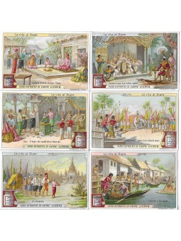 S 0982 / LIEBIG / LA VITA...