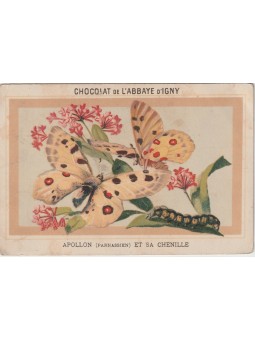 FIGURINA CHOCOLAT DE...