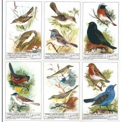 S 1771 LIEBIG UCCELLI CANTORI EUROPEI 2 (ITA) MF40204