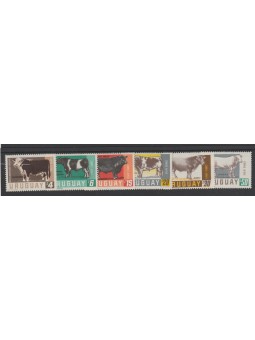 URUGUAY 1966 FAUNA BOVINI...
