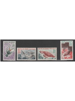 1966 COMORES FAUNA MARINA 4...