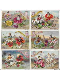 S 0520 / LIEBIG / FIORI CON...