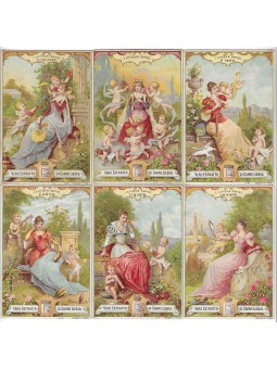 S 0535 / LIEBIG / I CINQUE...