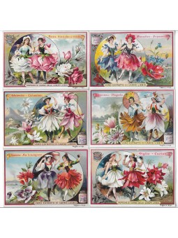 S 0556 / LIEBIG / FIORI...