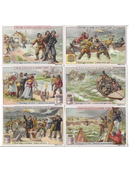 S 0604 / LIEBIG /...