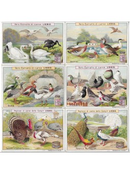 S 0607 / LIEBIG / UCCELLI...