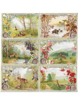 S 0627 / LIEBIG / FRA CAMPI...