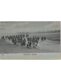 CAVALLERIA AL GALOPPO...