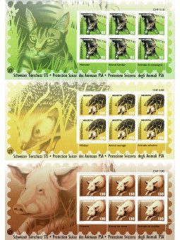 2004 SVIZZERA PROTEZIONE...