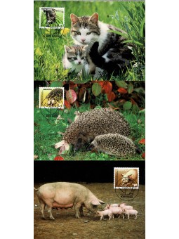 2004 SVIZZERA PROTEZIONE...