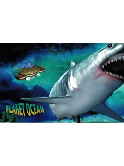 1998 AUSTRALIA IL PIANETA...