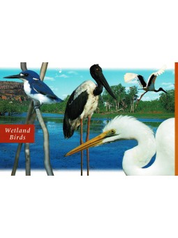 1997 AUSTRALIA UCCELLI ZONE...