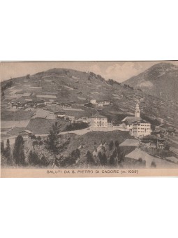 CARTOLINA VENETO BELLUNO S....