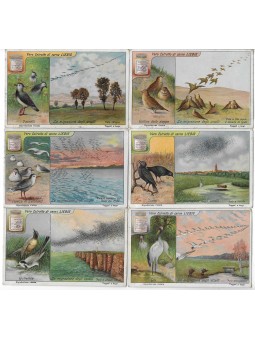 S 1122 / LIEBIG / LA...