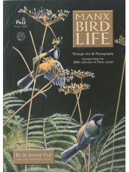 2006 MAN LIBRO BOOK COME DA...