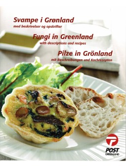 2005 GROENLANDIA LIBRO...