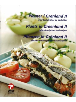 2005 GROENLANDIA LIBRO...