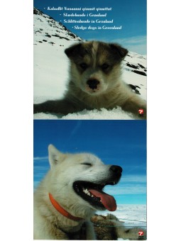 2003 GROENLANDIA FOLDER...