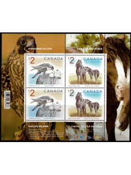 2005 CANADA FAUNA UCCELLI E...