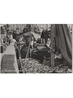 CARTOLINA MARCHE SAN...