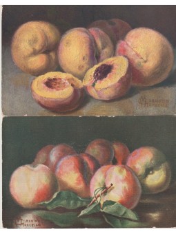 DUE CARTOLINE ILLUSTRATORE...