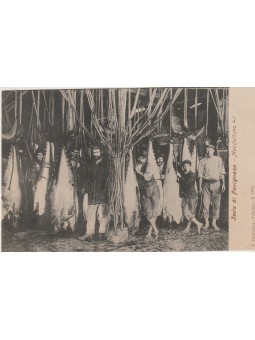 CARTOLINA SICILIA ISOLA DI...