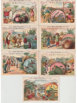 SERIE DI SETTE FIGURINE...