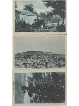 TRE CARTOLINE CALABRIA LA...