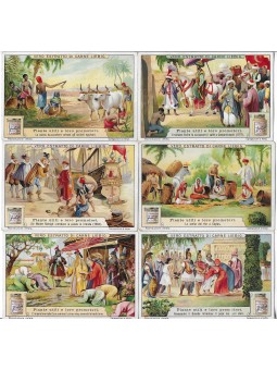 S 1100 / LIEBIG / PIANTE...