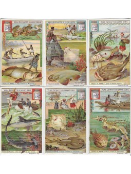 S 0744 / LIEBIG / PESCI DI...