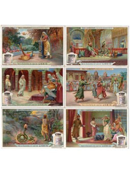 S 0941 / LIEBIG / NALA E...