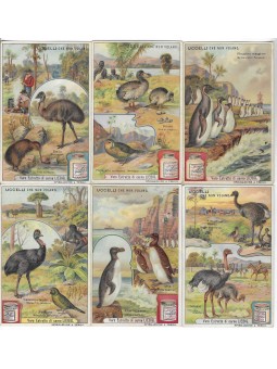 S 0946 / LIEBIG / UCCELLI...