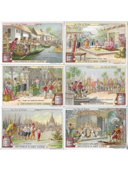 S 0982 / LIEBIG / LA VITA...