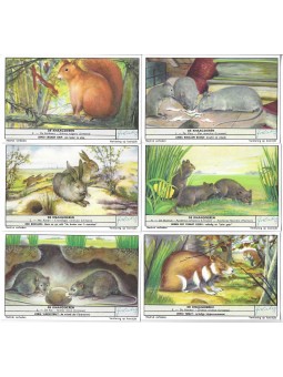 S 1655 / LIEBIG / I...