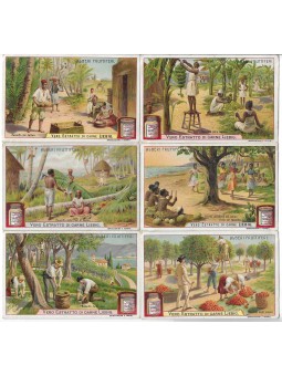 S 0878 / LIEBIG / ALBERI...