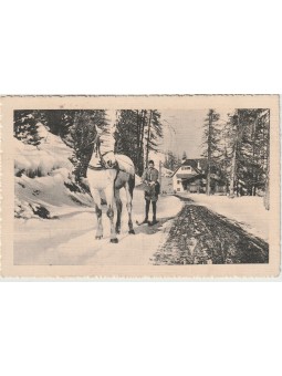 FOTOCARTOLINA TRASPORTO...