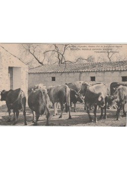 FOTOCARTOLINA SPAGNA...