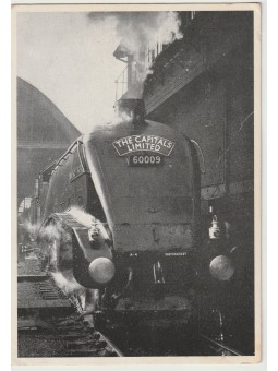 FOTOCARTOLINA LOCOMOTIVA A...