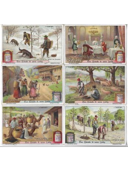 S 1031 / LIEBIG / I TARTUFI...