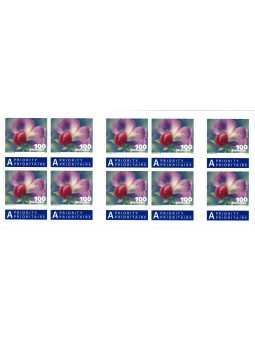 2011 SVIZZERA LIBRETTO...